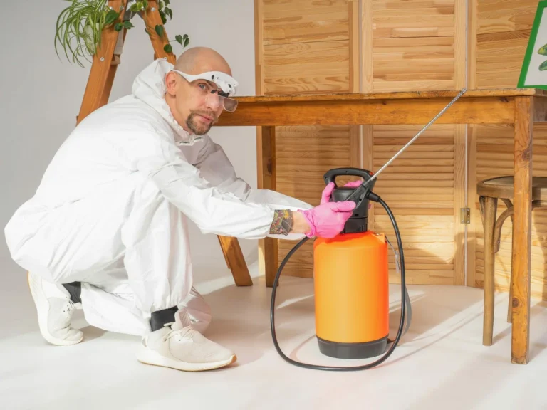 pest controle service