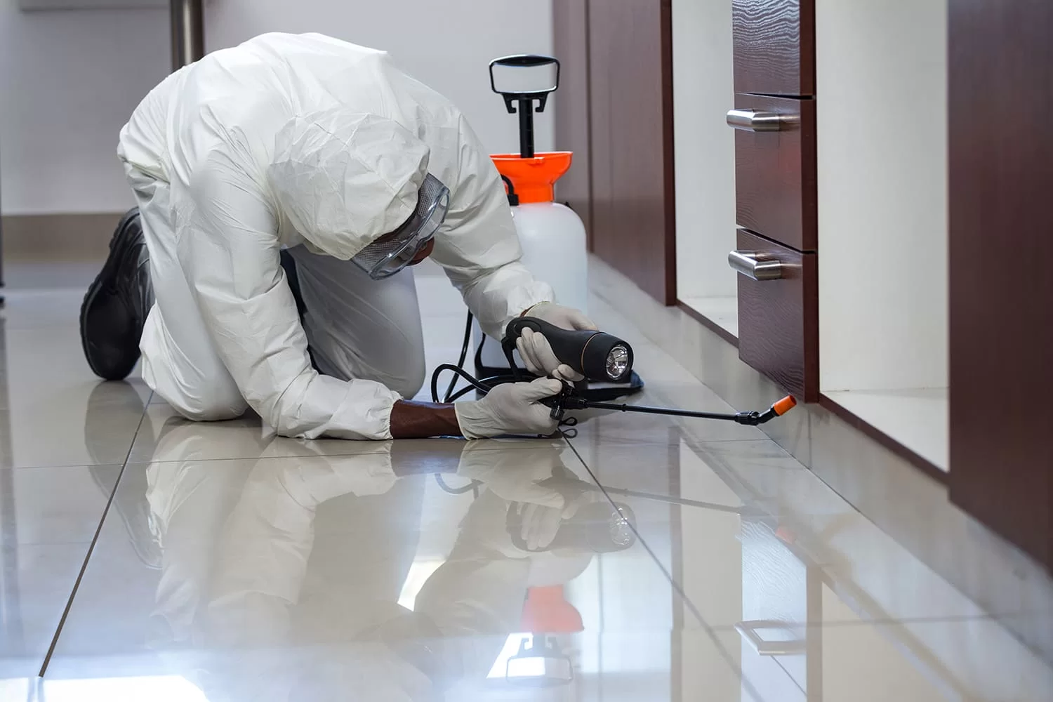 pest control in norfolk
