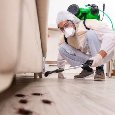 pest control cost