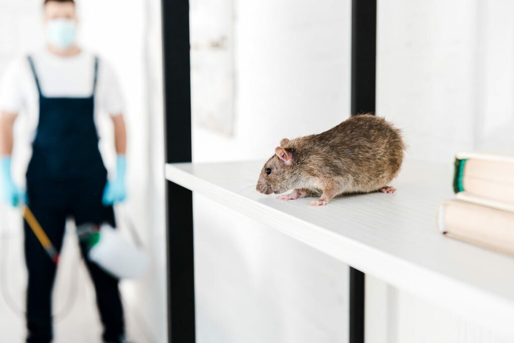 pest control near you